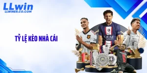 Tỷ Lệ Kèo Nhà Cái LLWIN - Bật Mí Bí Mật Dòng Tiền Ngầm